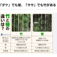 7月6日日曜日　