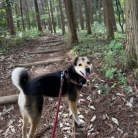 リトルコースも始まります！