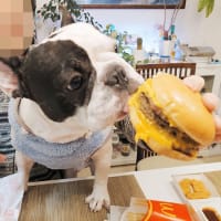 備蓄米をGET