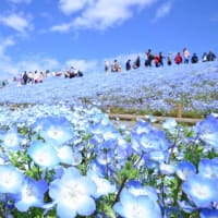 自ブログ最終( 本稿 ) で の ” ふだん「自分」” の 晒し稿ー 生活＆体調変化と頻尿＆オナラの話