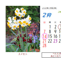 ◎２月の花：2006～2022～まとめ