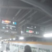 今日は大和路線止まってました。