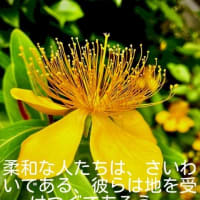 Contradictory(コントラディクトリー(相反)