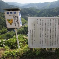 新宮あじさいの里～後編