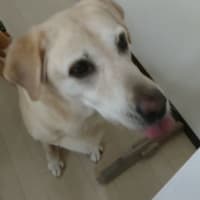 動物好き。花好き。