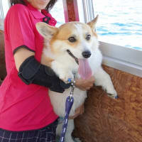 ブログ移動します