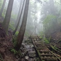 霧の金剛山（755回目）