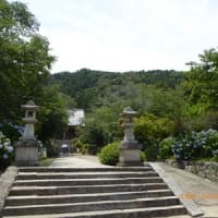 あじさい寺（矢田寺）