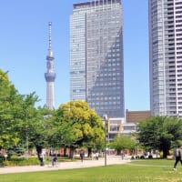 5月15日