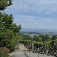 あじさい寺（矢田寺）