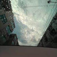 そういえば、テスラに乗ったことあった