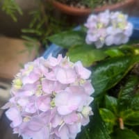 「嵐」チャイコフスキー
