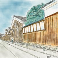 ときどき水彩画　2025/3月12日(水)