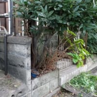 4日目