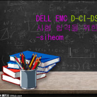 DELL EMC D-CI-DS-23 시험 합격을 위한 모범 사례 공유-siheom