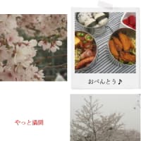 お花見