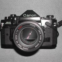 フィルムカメラの黄金時代  ミノルタ X ７００   趣味と写真機