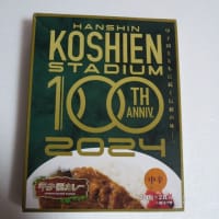 240905 100周年パッケージ甲子園カレー 中辛