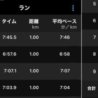 サボテンの花 & 今日のトレーニング