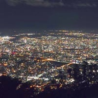 やっと夏本番⁉️