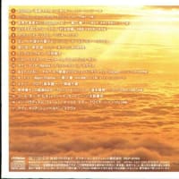 still echo 紹介