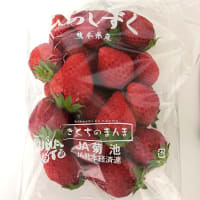 【グルメ】熊本県産のイチゴ・ひのしずくを食べる