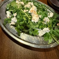 今週は飲み女会。
