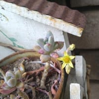 良いように変わったところ