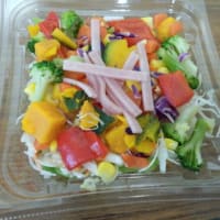 サークルKサンクス「9種野菜のカラフルサラダ」