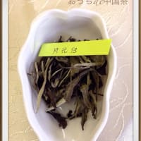 新春初研究会