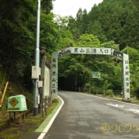 久々の山行、それは人生の縮図だった... Part 1