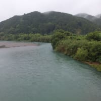本日の海部川