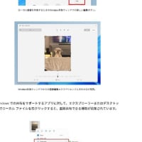 Windows 11 Canary チャンネル に Build 27881.1000 が配信されてきました。