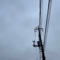 2025/05/25