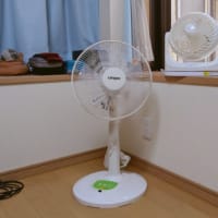 のち雨降る、祭りを探して。