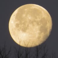 今朝の月＊2月の満月は6日「スノームーン」