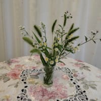 夕方のお花摘み