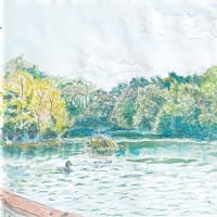 みんなの御蔭で乗り切る激動の一年⑤