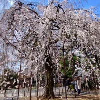 京都