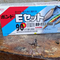 リング接着、再び・・・。