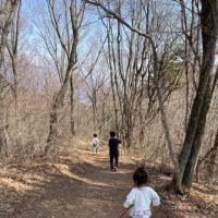 太郎山登山