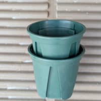 ホシクサを植える鉢