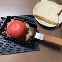 今日のあかんご飯