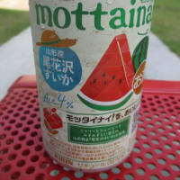 モッタイナイ！をおいしさに・・・氷結のスイカ・チューハイ！この暑い夏、mottainaiを飲んで乗り切って行きましょう！カンパイ！