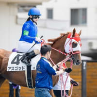 【アスゴッド】次走、７／１２函館最終レースも古川奈穂騎手で