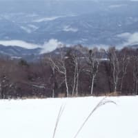 今シーズンのの初雪はゆっくり