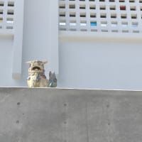 シーサーを設置しました