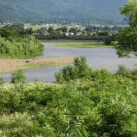 再掲；みちのくの夏2016 ～ 桜づつみ近くの最上川 ～