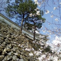 高知城