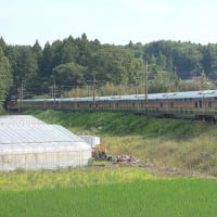 2025.6.30撮影記（矢板～片岡）
